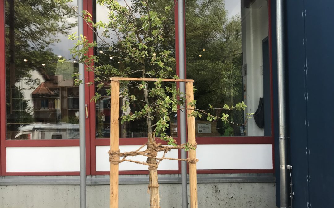 Bericht von Isar TV zur Baumpflanzaktion